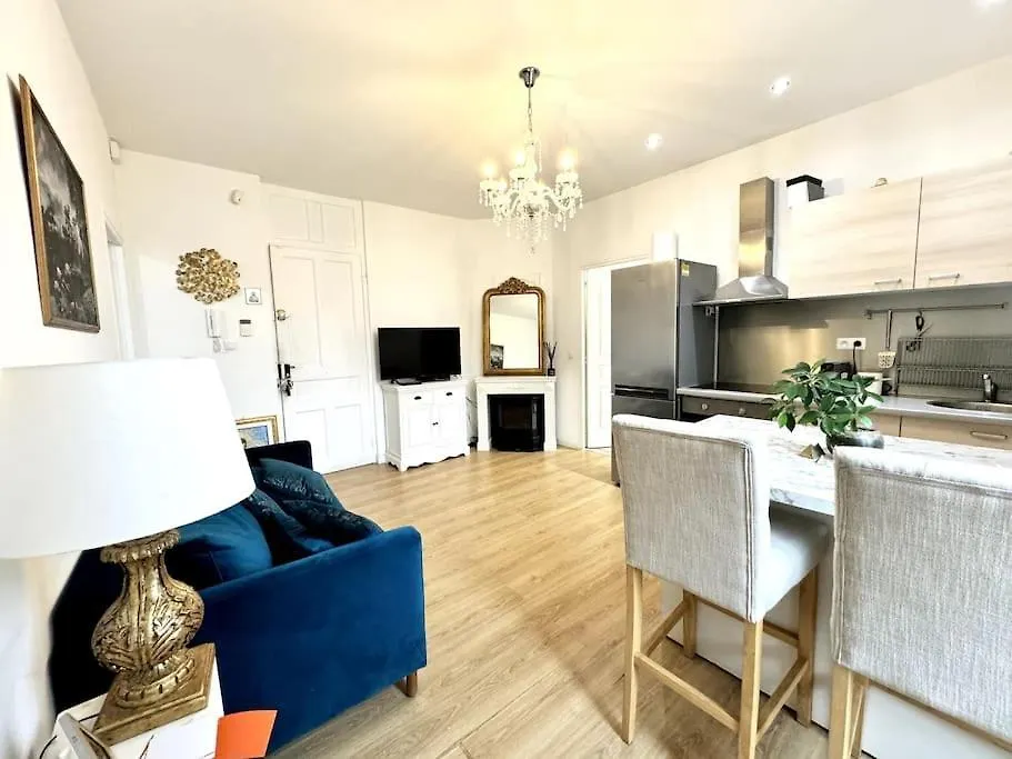 Lumineux Appartement Deux Pieces Nice Daire